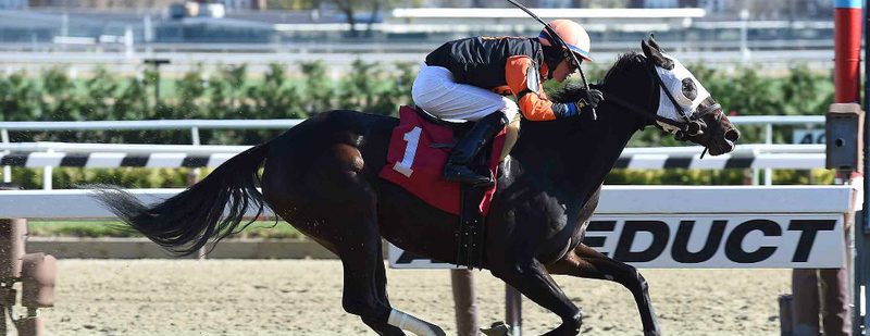 B Three Wins at Aqueduct on November 14, 2015