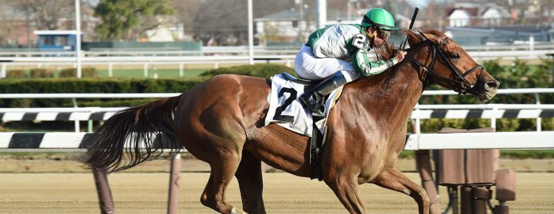 Half Dreamin Wins at Aqueduct on November 27, 2015