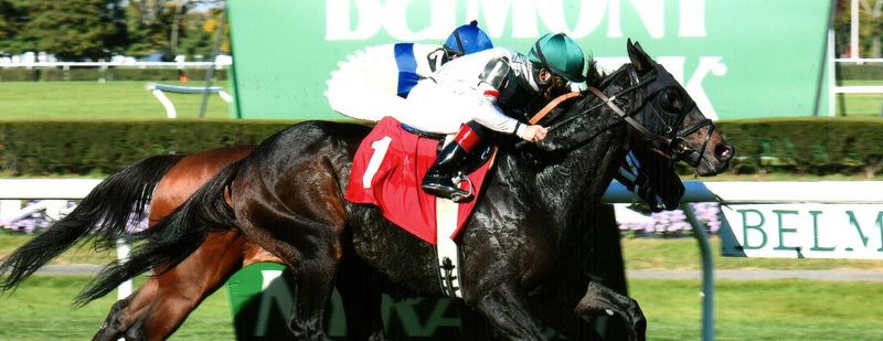 Make A Decision Wins at Belmont Park on October 30, 2015