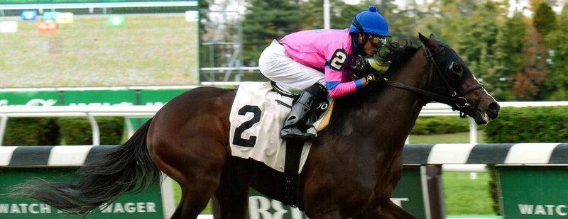 Matt King Coal Wins at Belmont Park on October 29, 2015