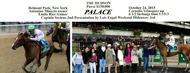 Palace Wins at Belmont Park on October 24, 2015