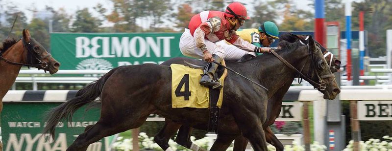 Scat Away Wins at Belmont Park on October 25, 2015