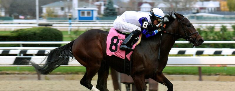 Seymourdini Wins at Aqueduct on November 22, 2015