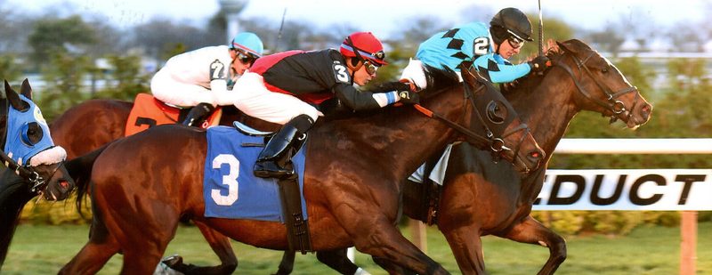 E J’s Legacy Wins at Aqueduct on November 29, 2015