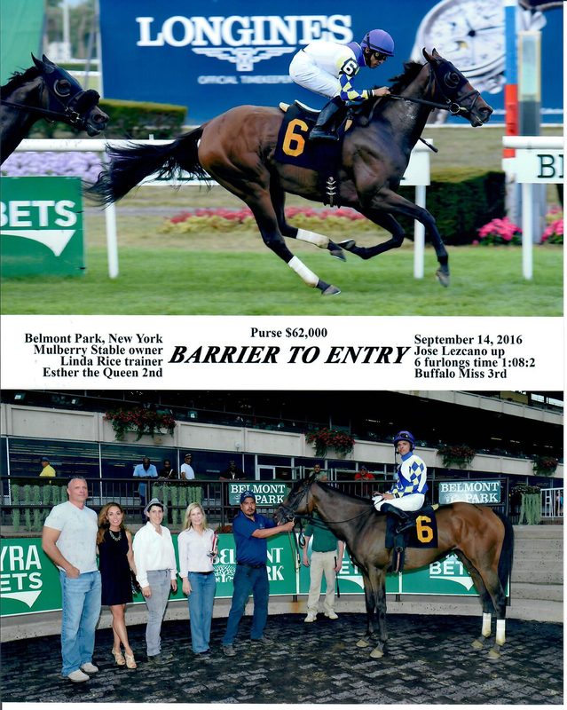 Barrier To Entry — 9/14/16