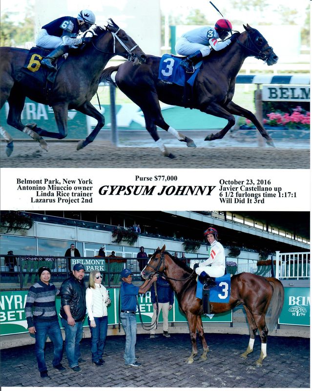 Gypsum Johnny — 10/23/16