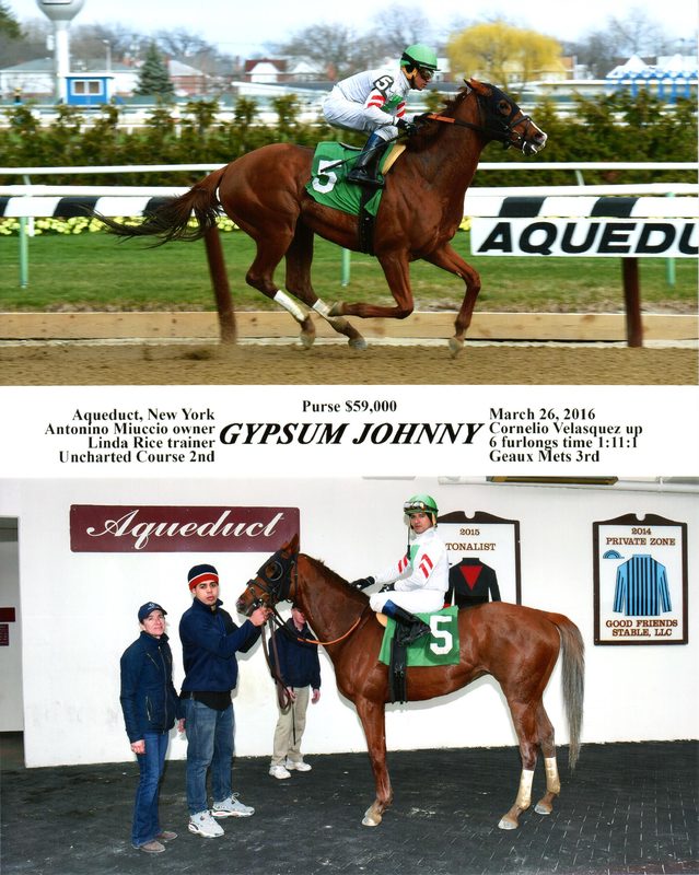 Gypsum Johnny — 3/26/16