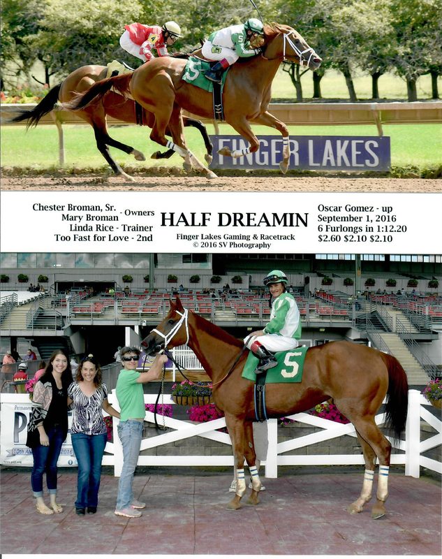 Half Dreamin — 9/1/16