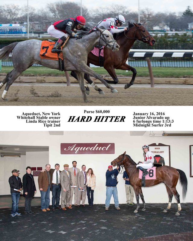 Hard Hitter — 1/16/16