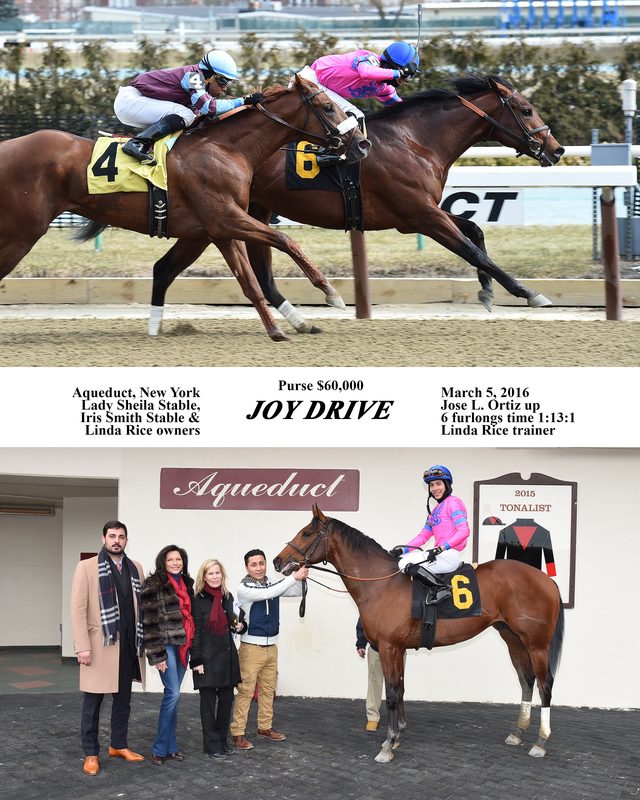 Joy Drive — 3/5/16