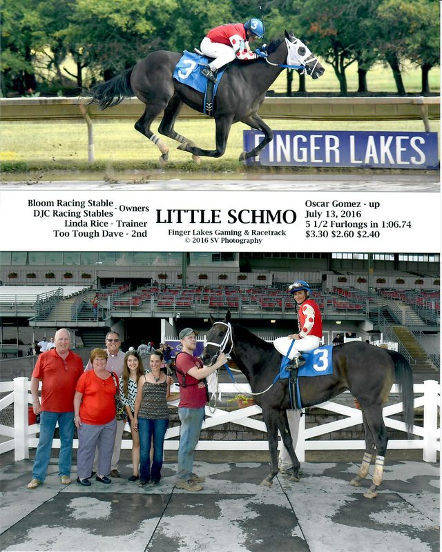 Little Schmo — 7/13/16