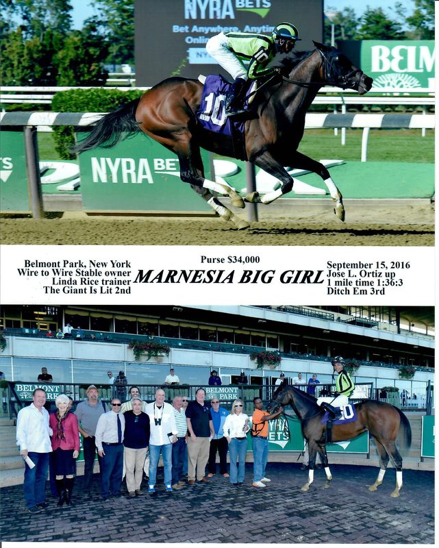 Marnesia Big Girl — 9/15/16