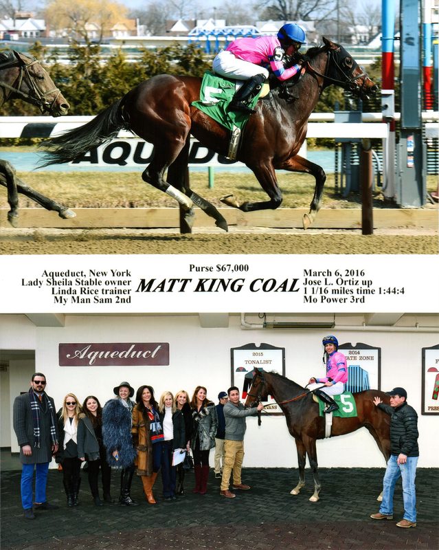 Matt King Coal — 3/6/16
