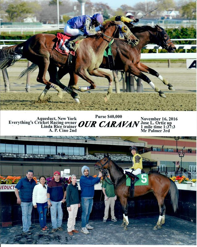 Our Caravan — 11/16/16