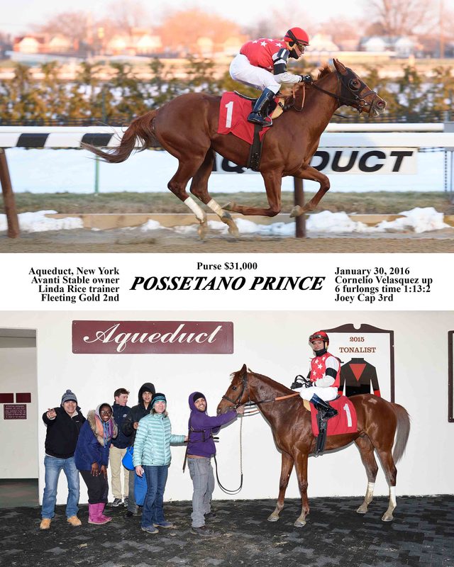 Possetano Prince — 1/30/16