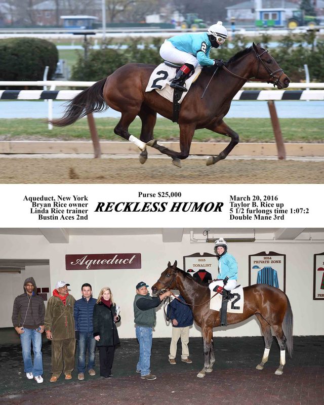 Reckless Humor — 3/20/16