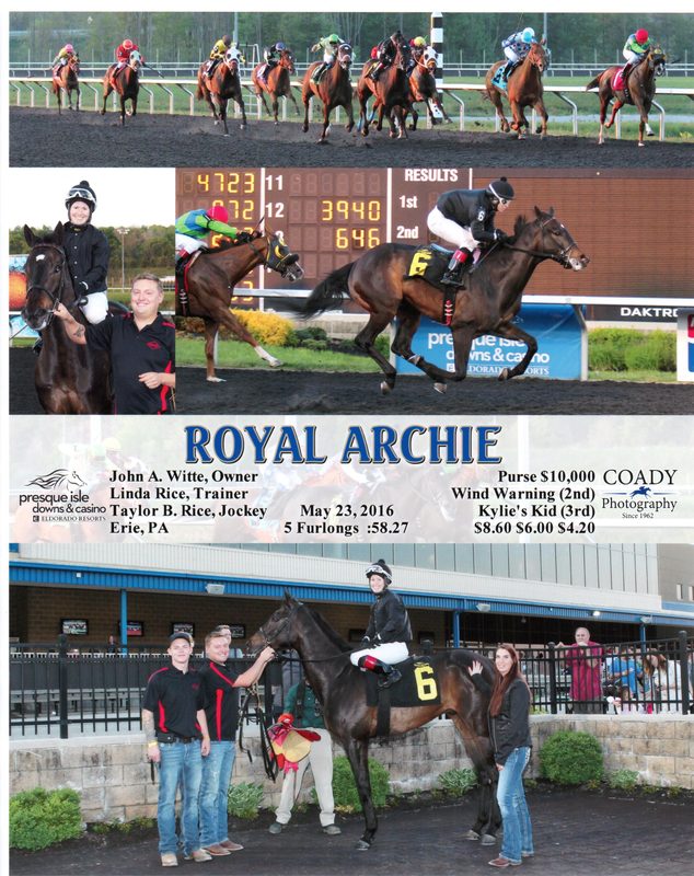 Royal Archie — 5/23/16