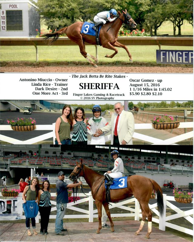Sheriffa — 8/15/16
