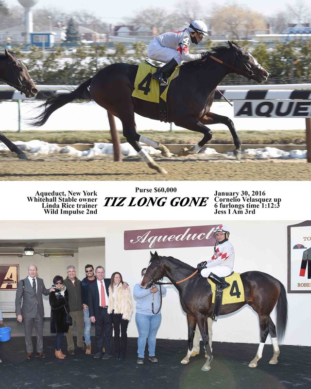 Tiz Long Gone — 1/30/16