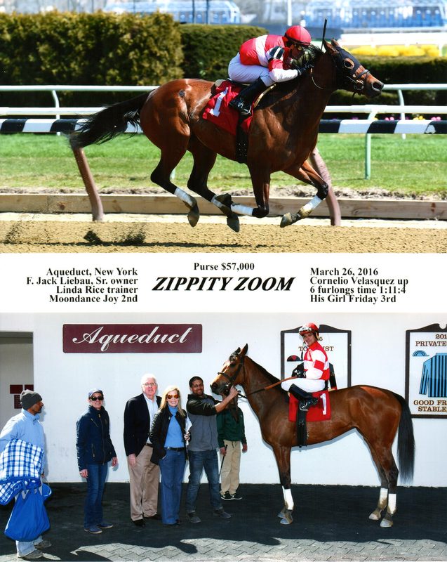 Zippity Zoom — 3/26/16
