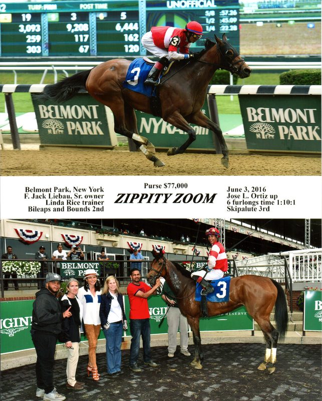 Zippity Zoom — 6/3/16