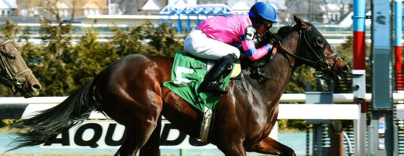 Matt King Coal Wins at Aqueduct on March 6, 2016