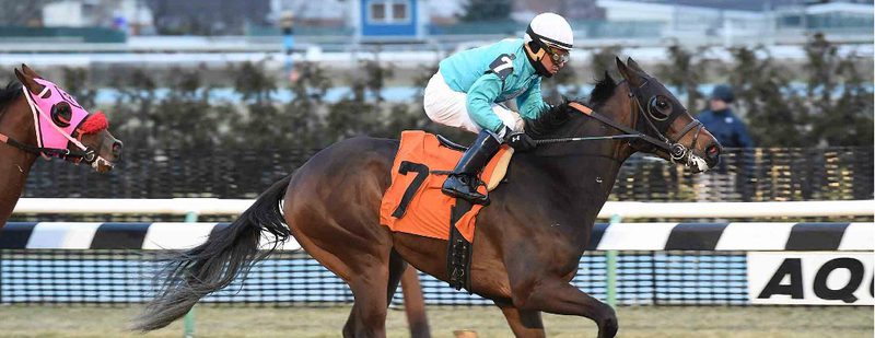 Only The Truth Wins at Aqueduct on March 3, 2016