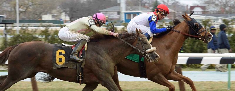 Pretension Wins at Aqueduct on March 13, 2016