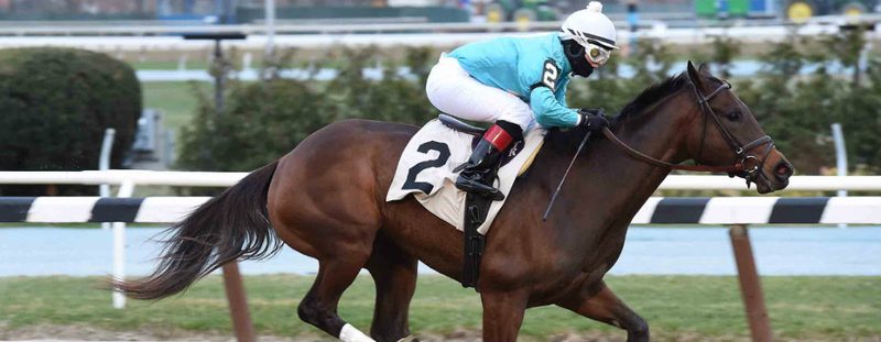 Reckless Humor Wins at Aqueduct on March 20, 2016