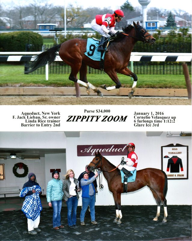 Winner’s circle photo: Zippity Zoom, Jan 1, 2016