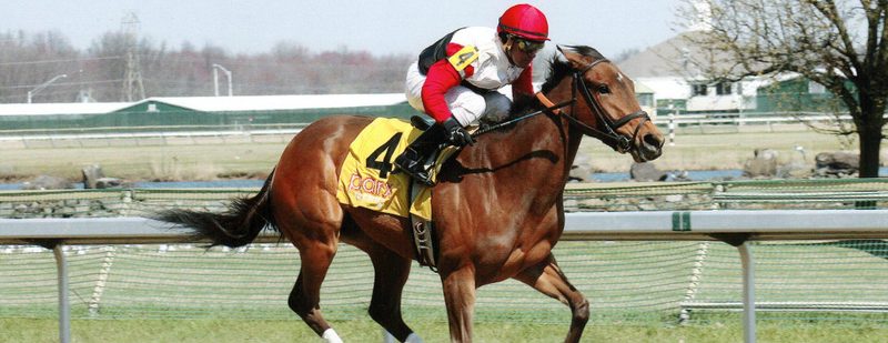 Battle Tux Wins at Parx Racing on March 22, 2016