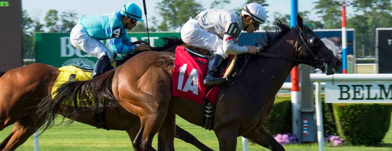 Altar Boy Wins at Belmont Park on June 24, 2016