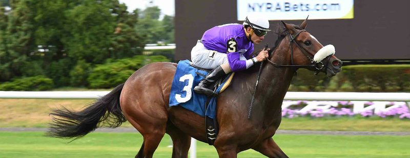 Wild Chatter Wins at Belmont Park on July 3, 2016