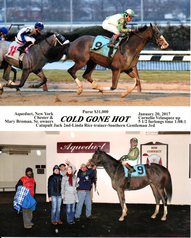 Cold Gone Hot — 1/20/17
