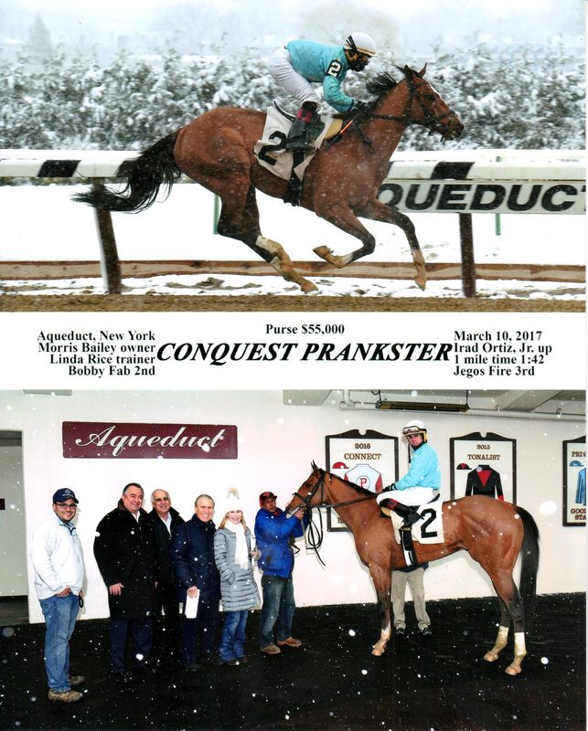 Conquest Prankster — 3/10/17