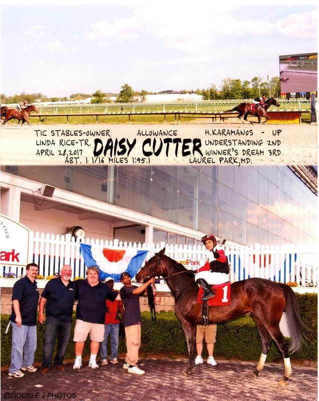 Daisy Cutter — 4/28/17