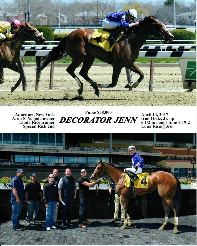 Decorator Jenn — 4/14/17