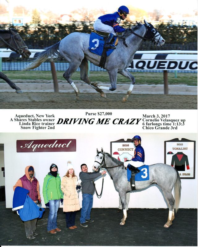 Driving Me Crazy — 3/3/17