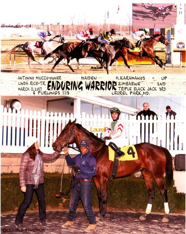 Enduring Warrior — 3/11/17