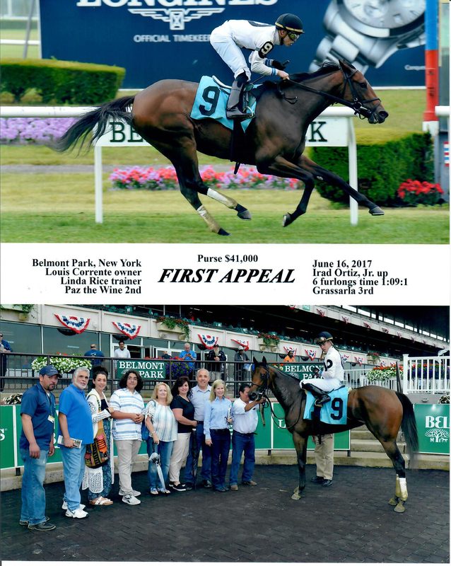 First Appaeal — 6/16/17