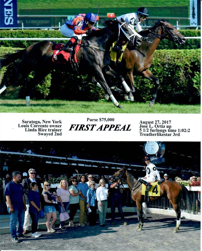 First Appeal — 8/27/17