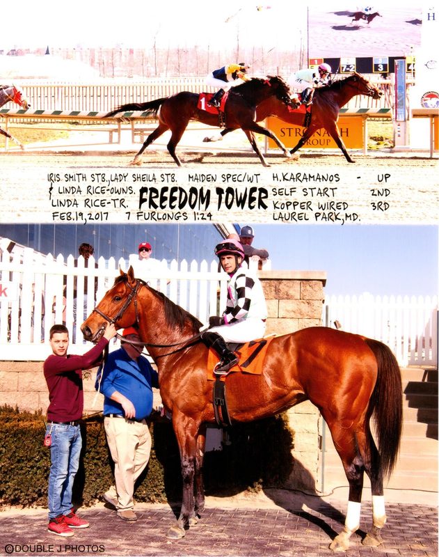 Freedom Tower — 2/19/17