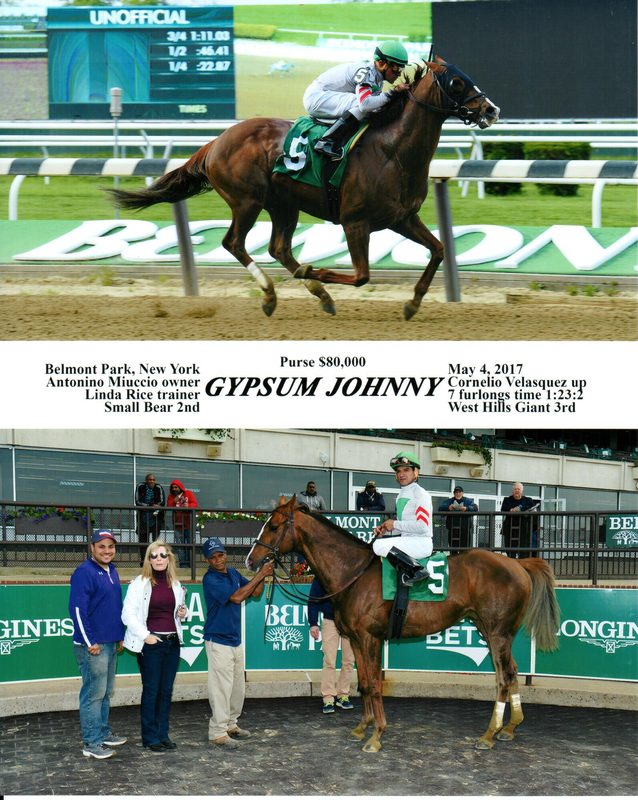 Gypsum Johnny — 5/4/17