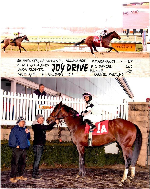 Joy Drive — 3/10/17