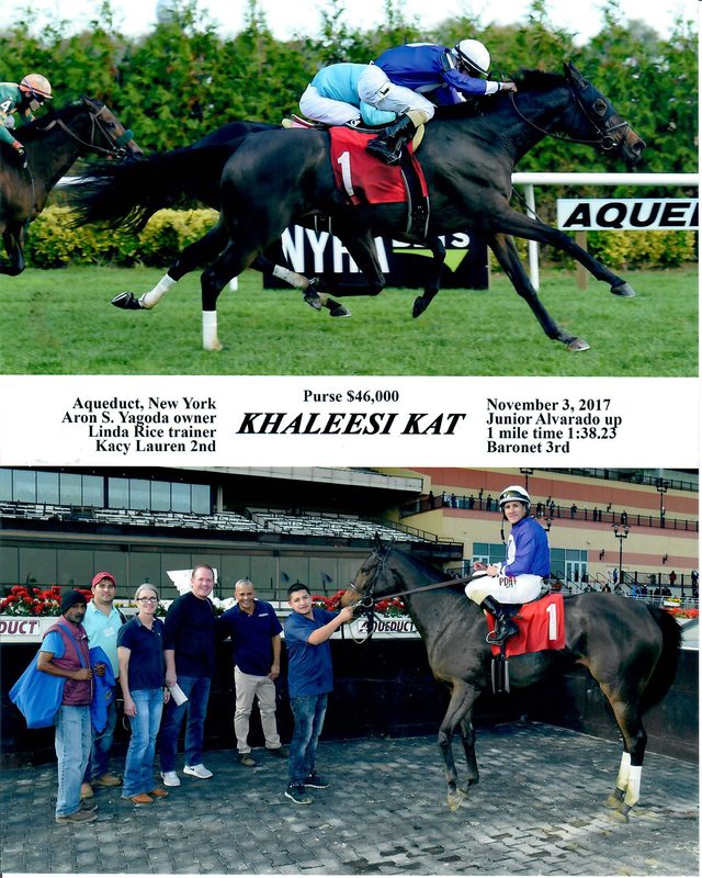 Khalessi Kat — 11/3/17