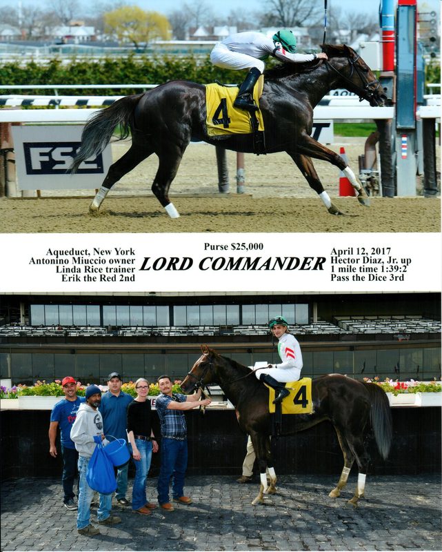 Lord Commander — 4/12/17