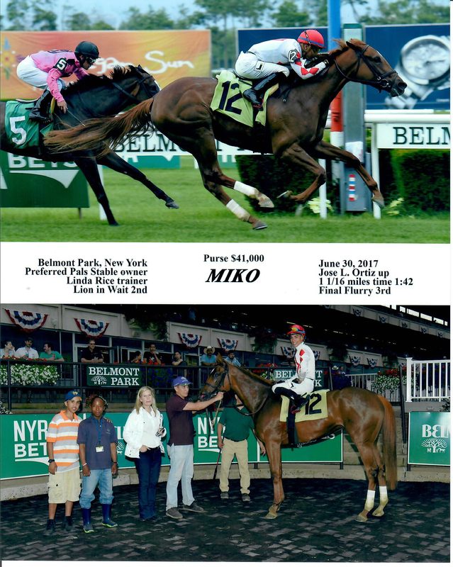 Miko — 6/30/17