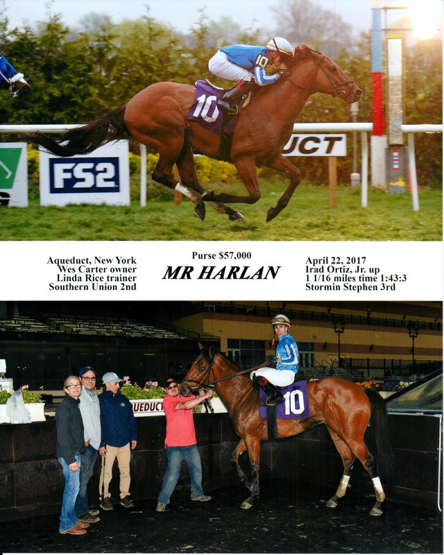 Mr Harlan — 4/22/17
