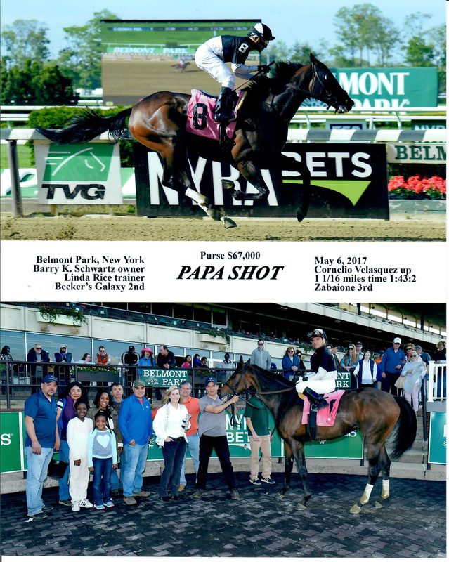 Papa Shot — 5/6/17