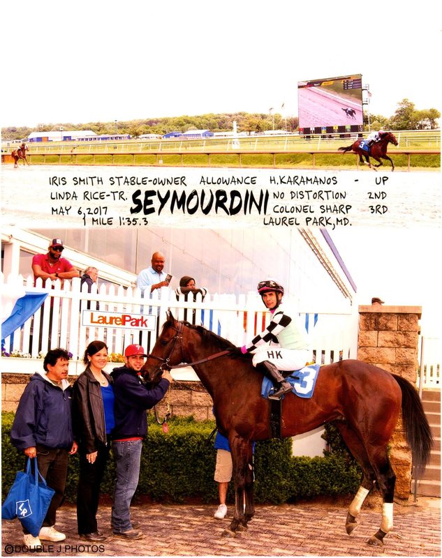 Seymourdini — 5/6/17
